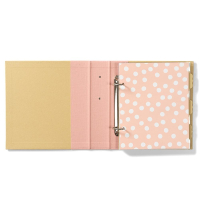 Simple Stories SN@P! Binder 6x8 Inch Blush (10731)